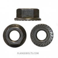 3/4-10 Hex Serrated Flange Nut Grade 8 Plain